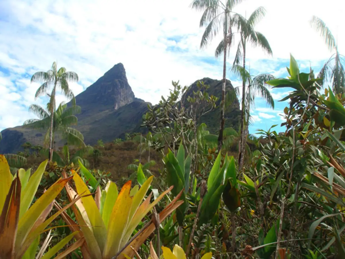 Pico 31 de Março