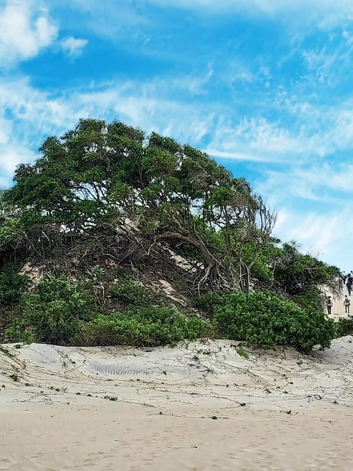 Campo de Dunas do Peró