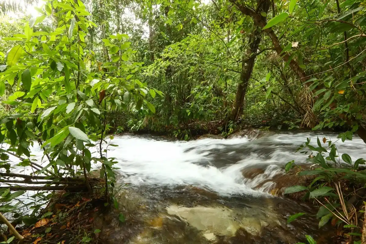 Cachoeira do Formiga