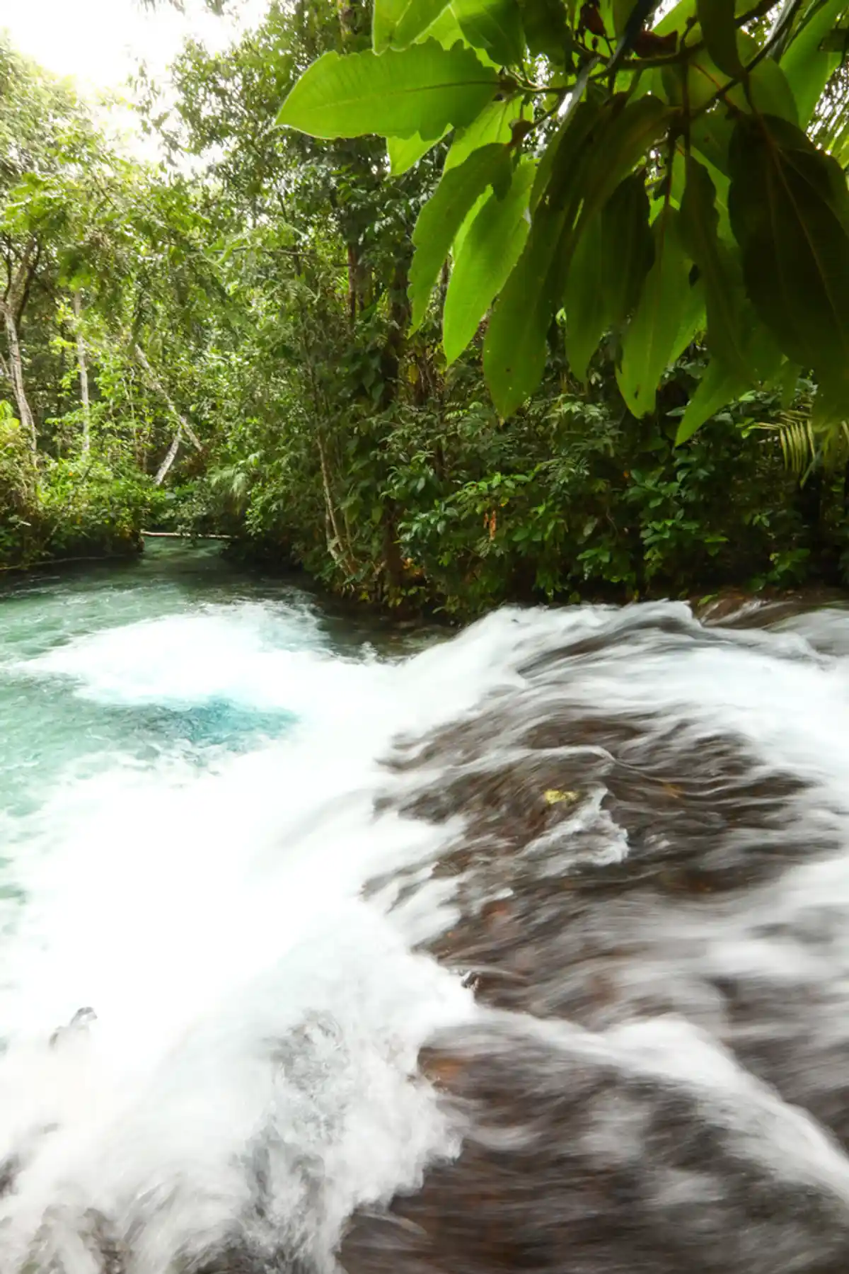 Cachoeira do Formiga