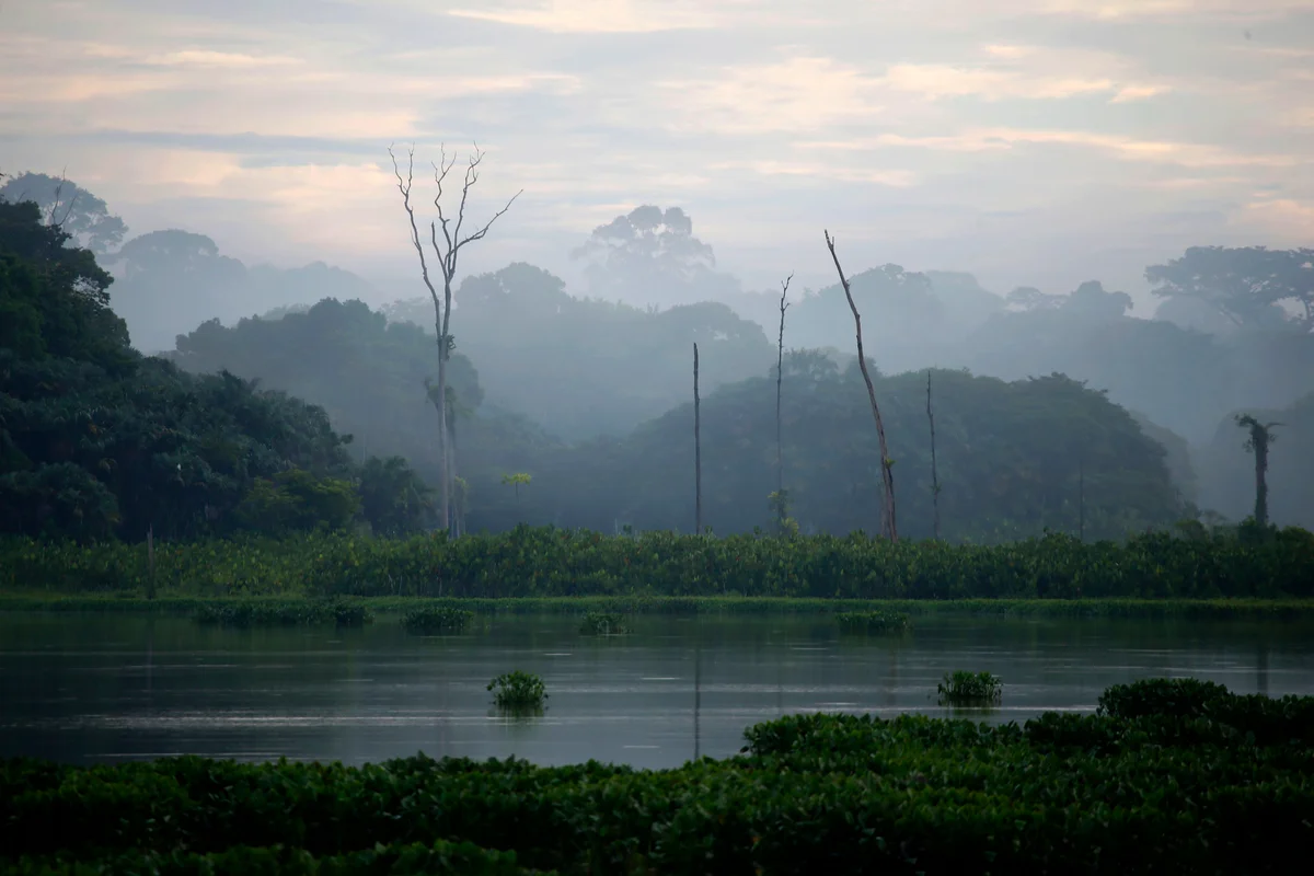 Lago Bolonha