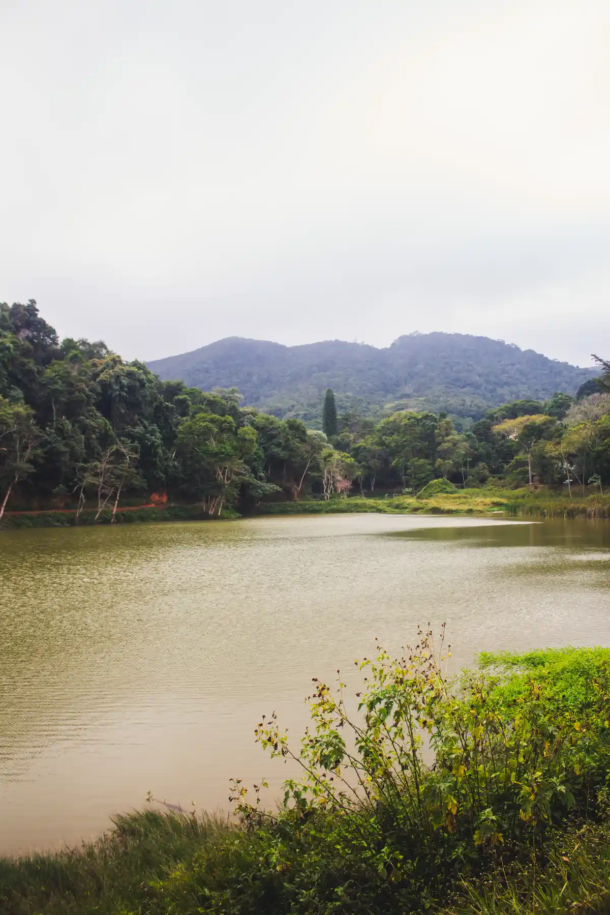Lago de Palmares