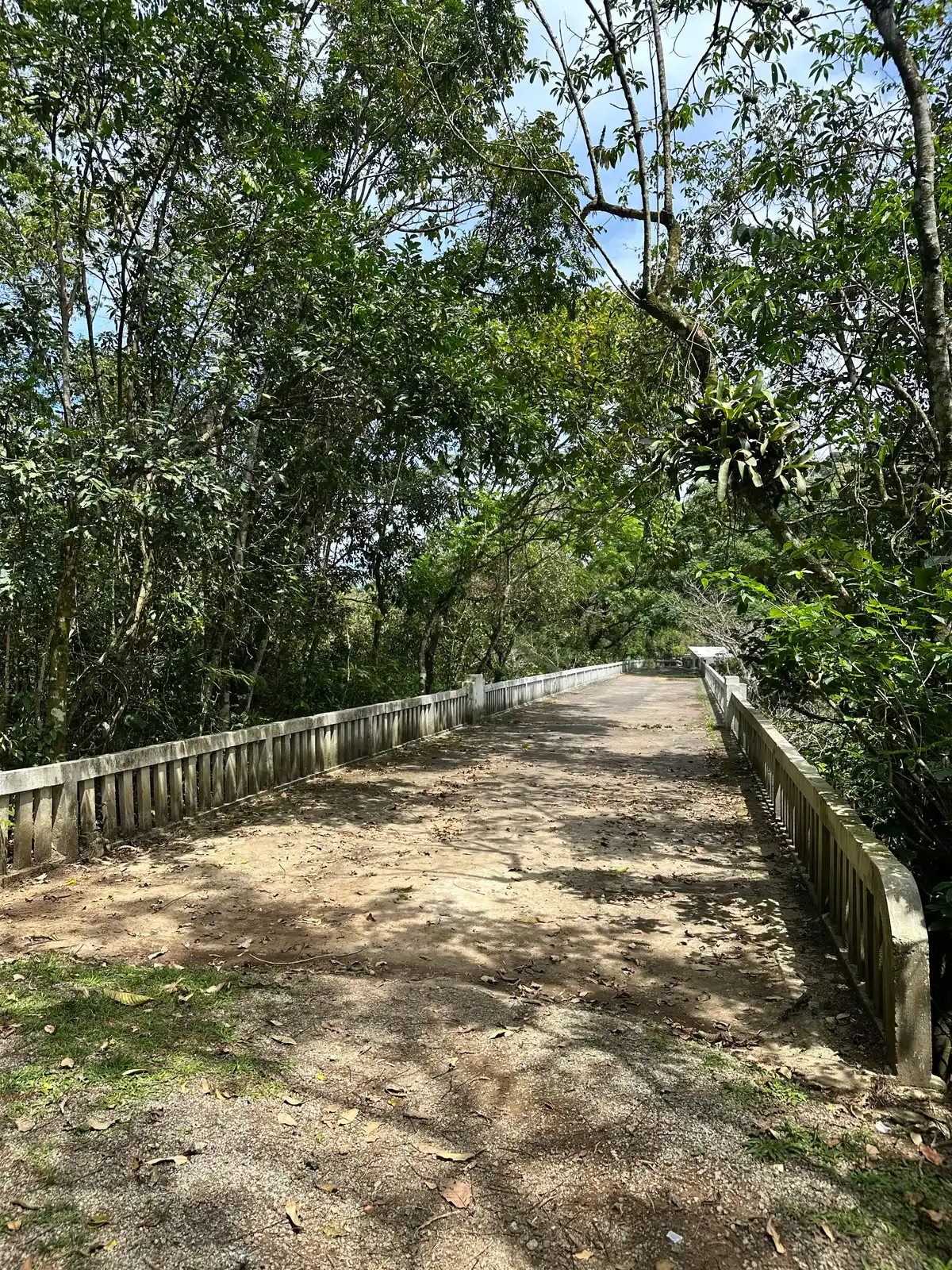 Ponte Velha de Boca do Mato