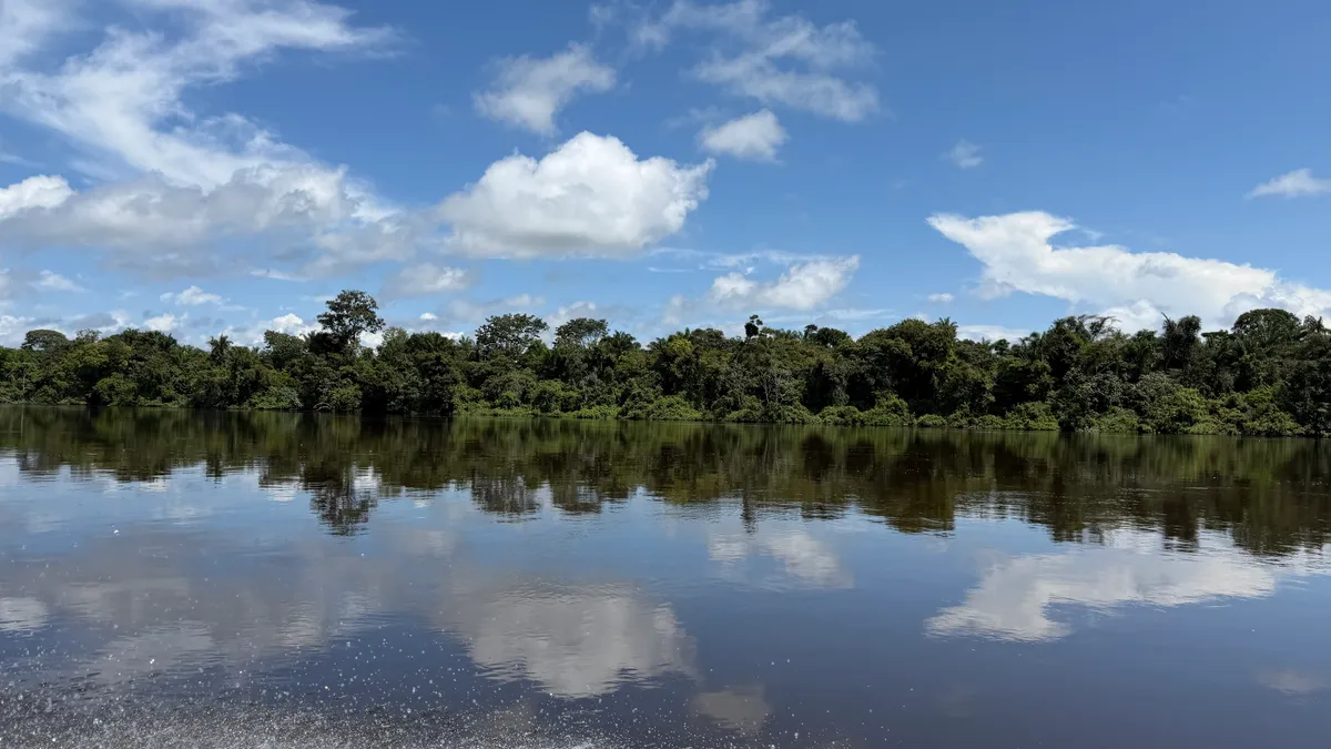Rio Jari