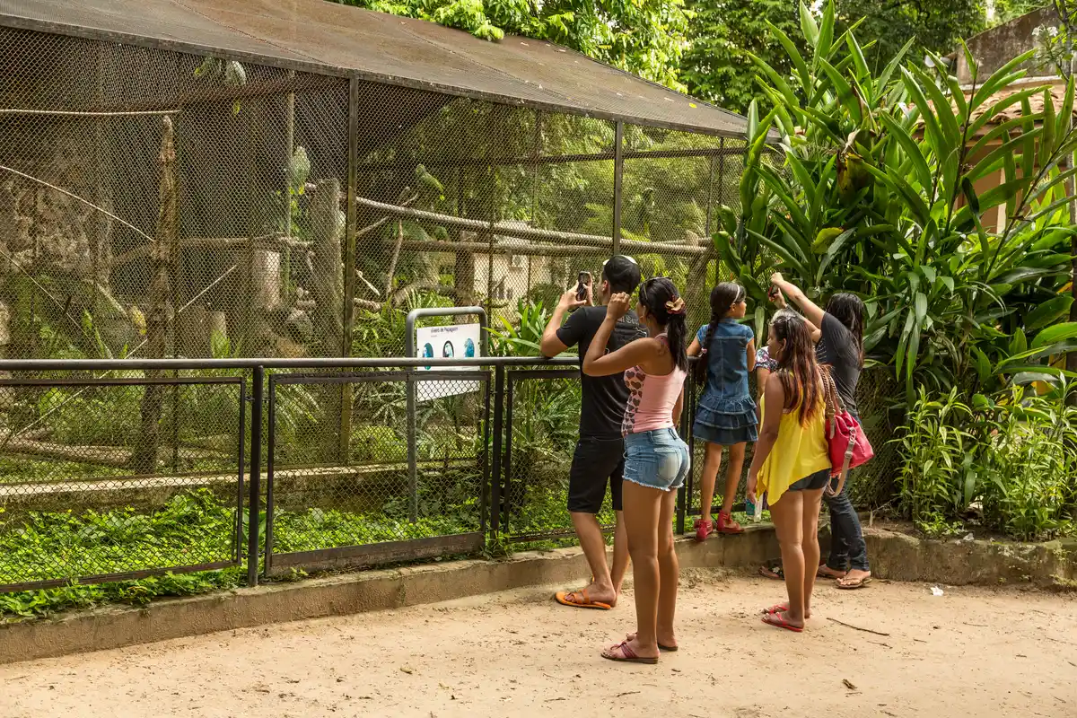 Parque Zoobotânico do Museu Paraense Emílio Goeldi
