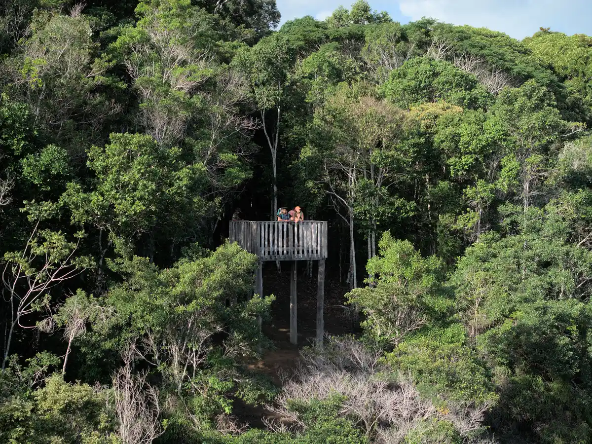 Mirante do Pau Brasil