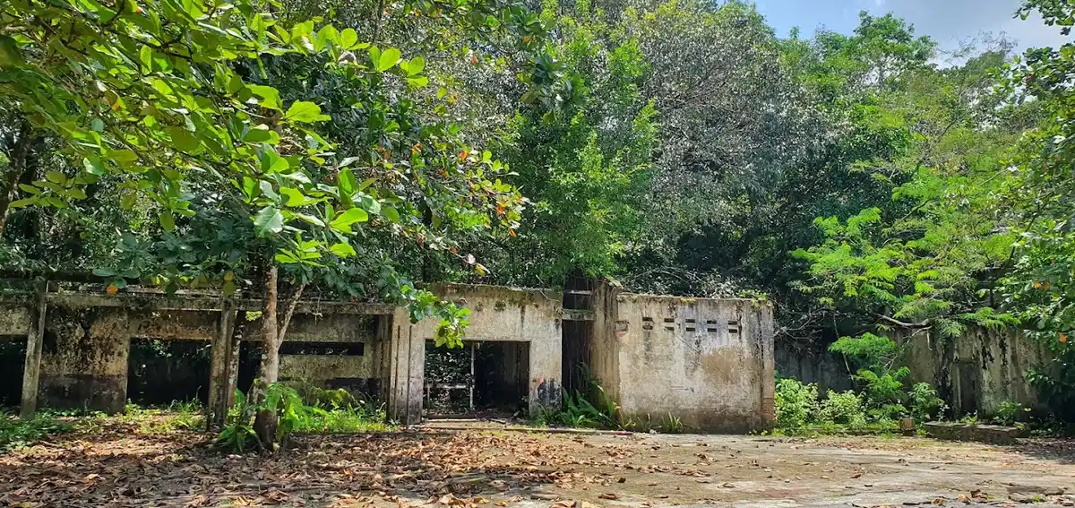Ruínas da Antiga Fazenda Pirelli