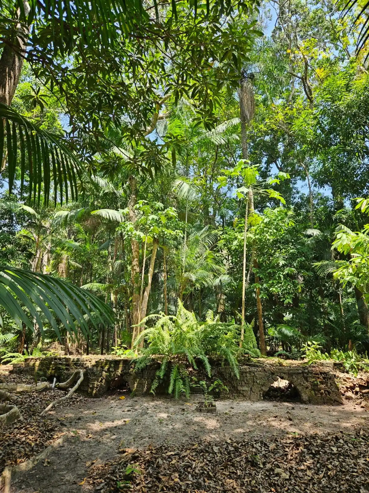Ruínas do Engenho Feliz e da Olaria