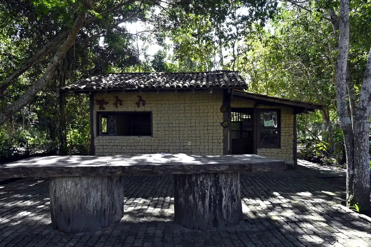 Casa de Pau a Pique