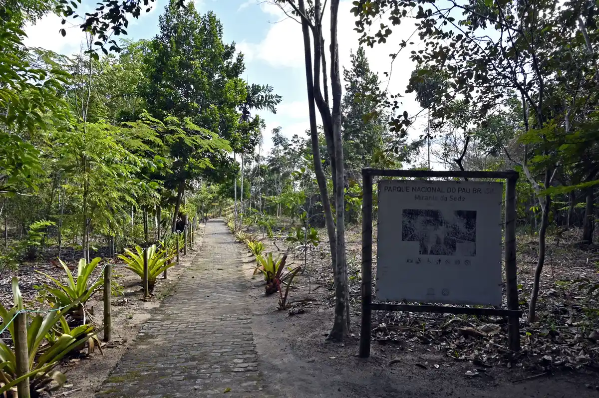 Mirante da Sede
