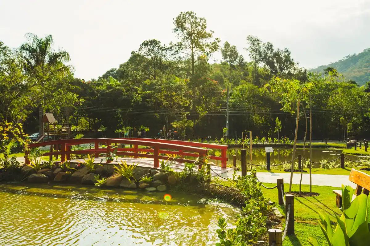 Bosque da Maravilha