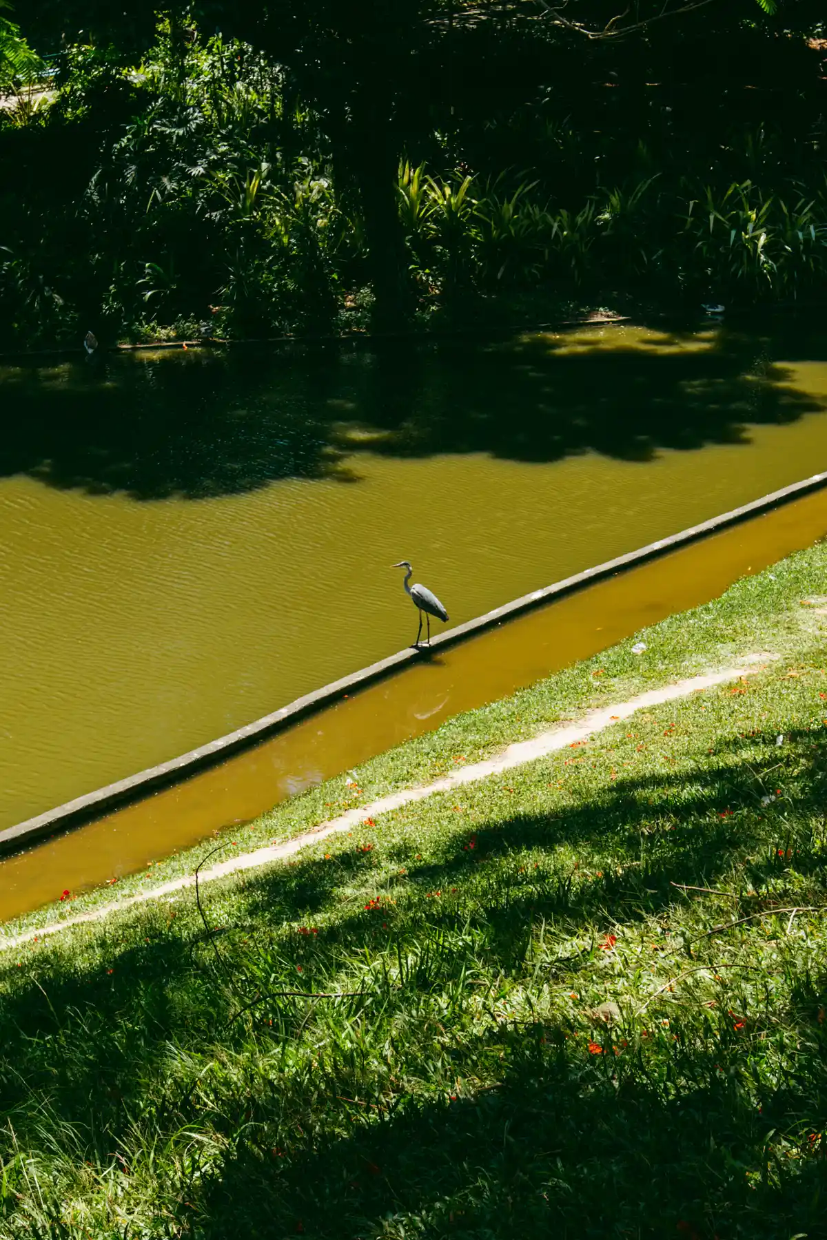 Parque Eduardo Guinle