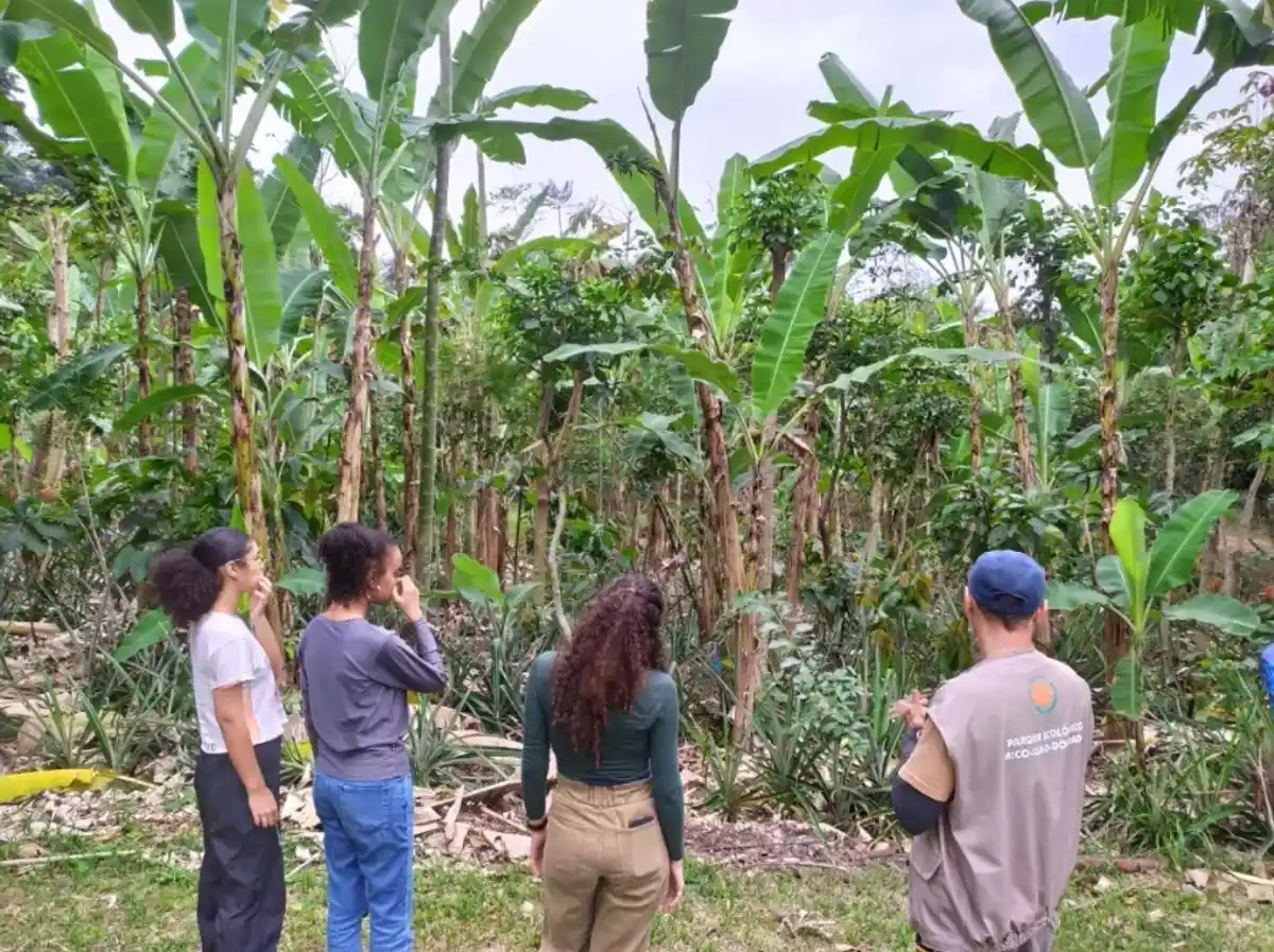 Agroecologia (Agrofloresta e Hortofloresta)