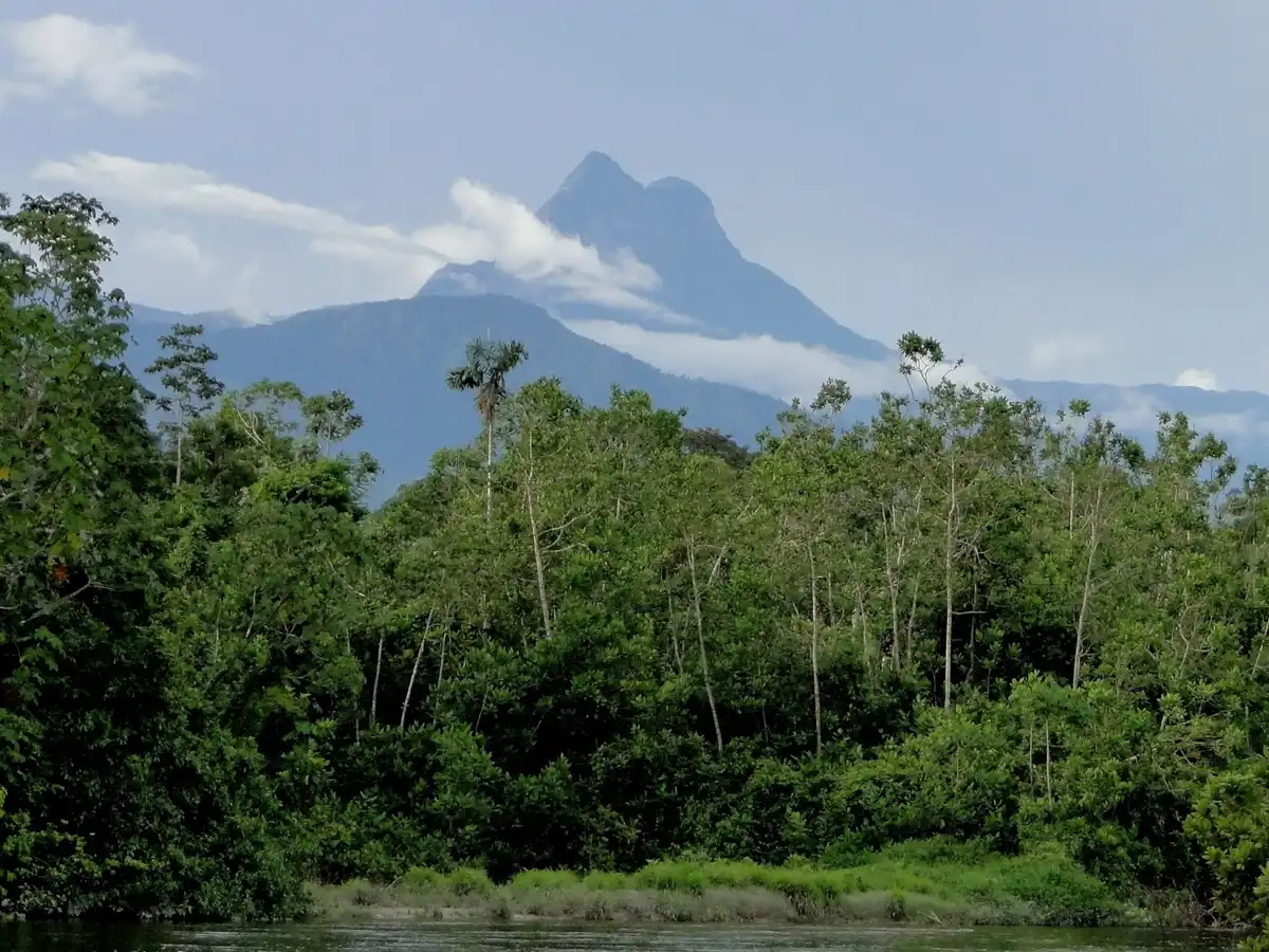 Pico da Neblina