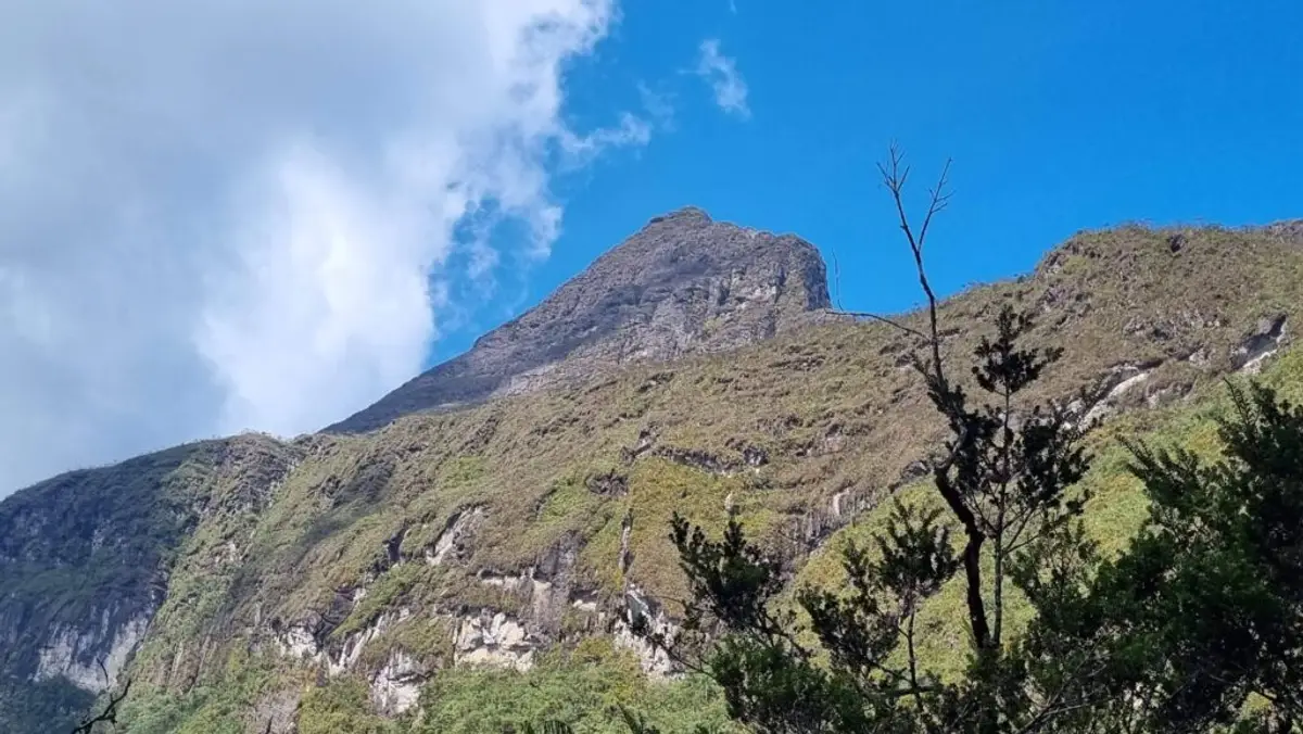 Pico da Neblina