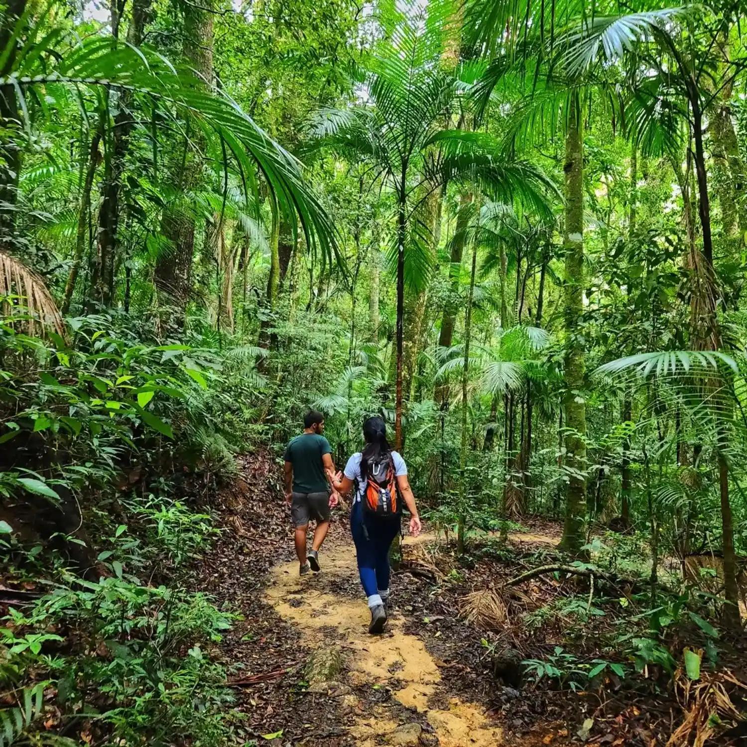 Fazer trilhas e passar alguns dias conectados à natureza é incrível, mas carregar muito peso pode transformar a aventura em um perrengue gigante! Que tal conhecer mais sobre o Trekking Ultralight? Acompanhe as dicas da nossa parceira Luciana Nogueira, montanhista e fisioterapeuta esportiva.