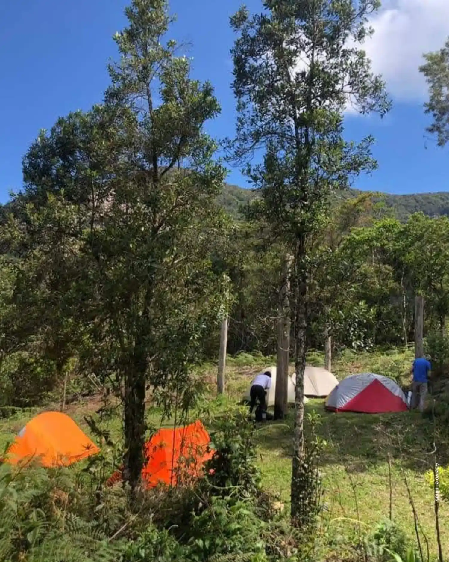 Tipos de barraca e clima: como o ambiente influencia sua escolha?