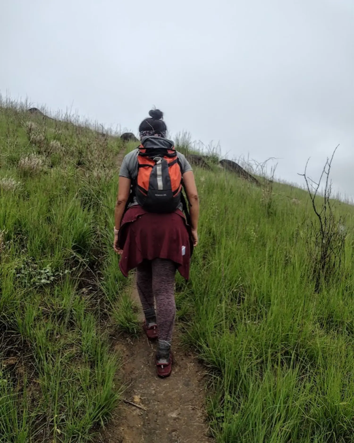 Comprar uma mochila cargueira é um dos investimentos mais altos e decisivos para quem faz trilhas e caminhadas de longo curso. E é muito comum ver praticantes atraídos por marcas famosas, ofertas ou apelo visual, terminando com o equipamento errado nas costas. 