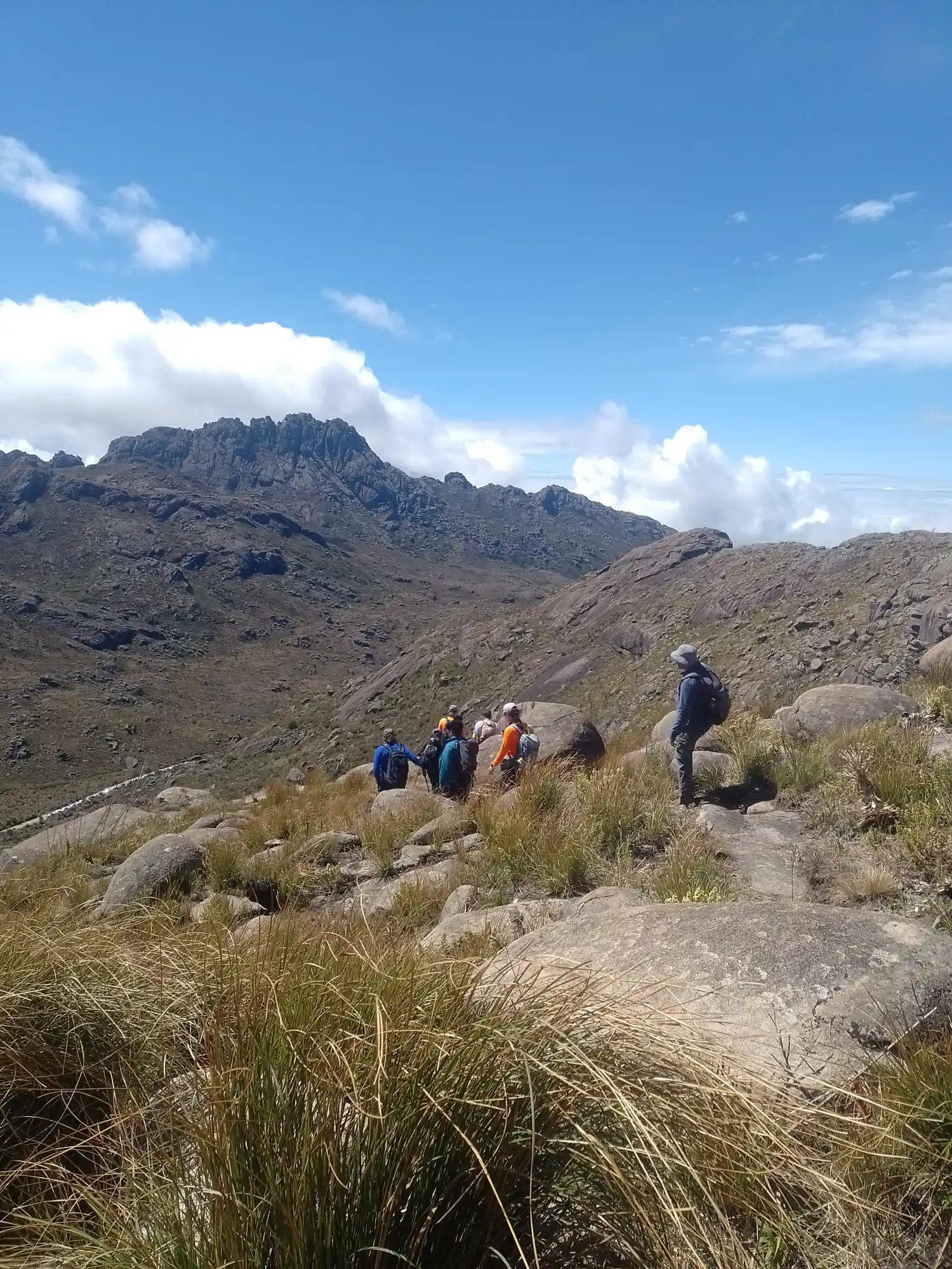 Todos estamos sujeitos a acidentes no dia a dia. Em áreas naturais, um kit de primeiros socorros é essencial para tornar a aventura segura e garantir a diversão!
