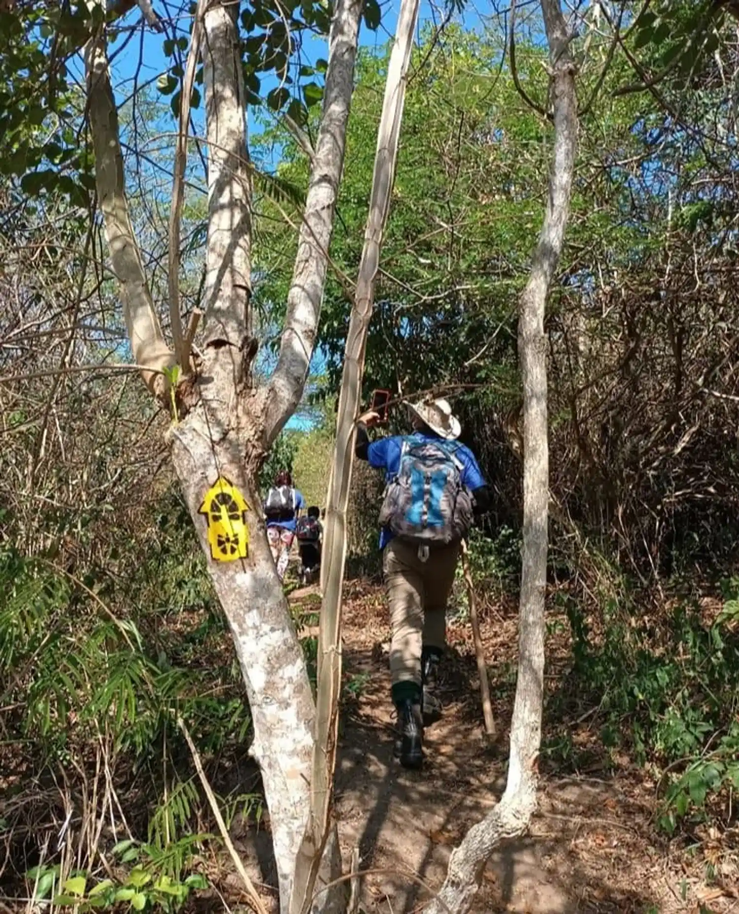 Cuidar dos pés para fazer trilhas é parte do sucesso de toda aventura nas áreas naturais! A gente separou algumas dicas para deixar os nossos melhores parceiros de aventura sempre de bem com a vida!