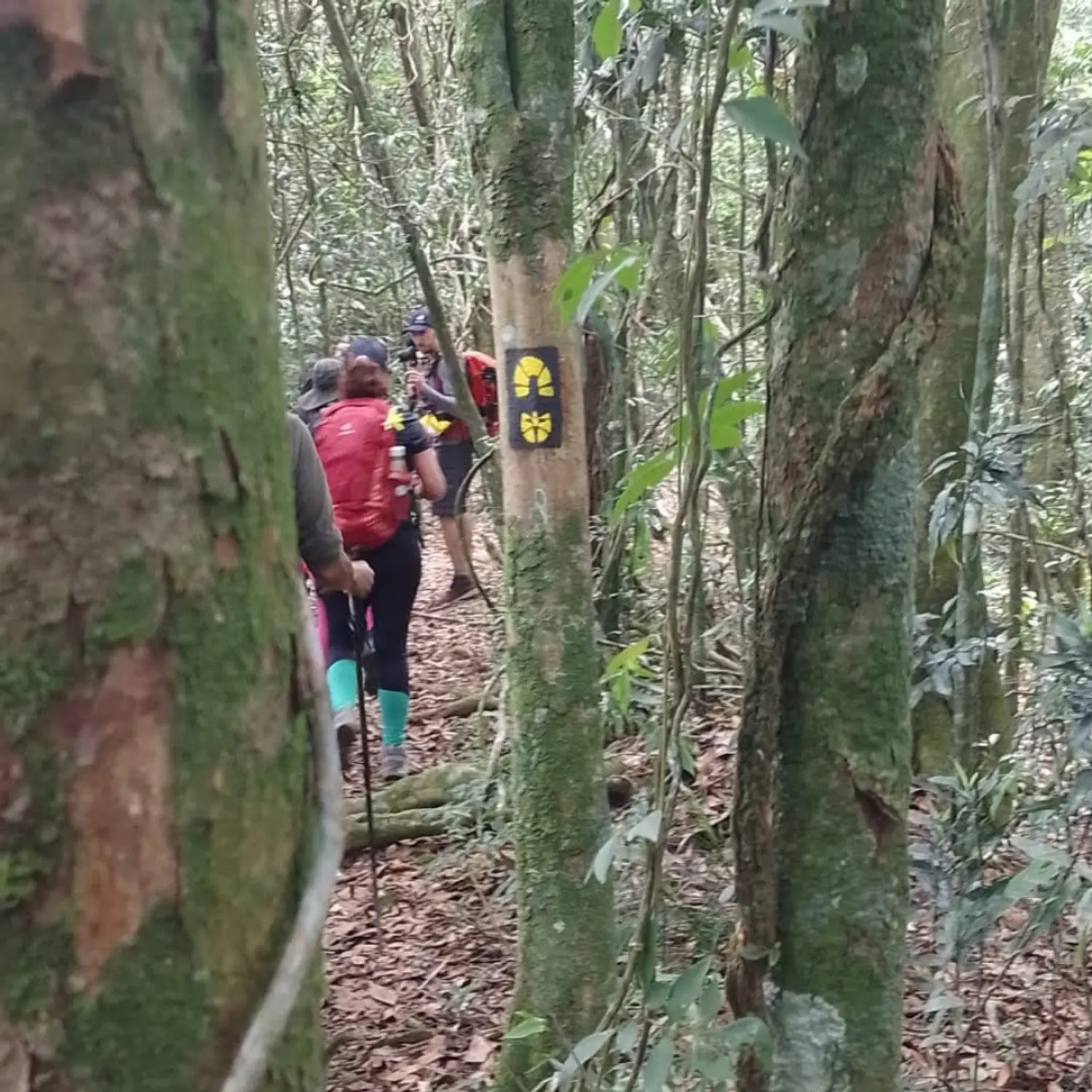 Kit de primeiros socorros montado, mochila arrumada: partiu aventura!