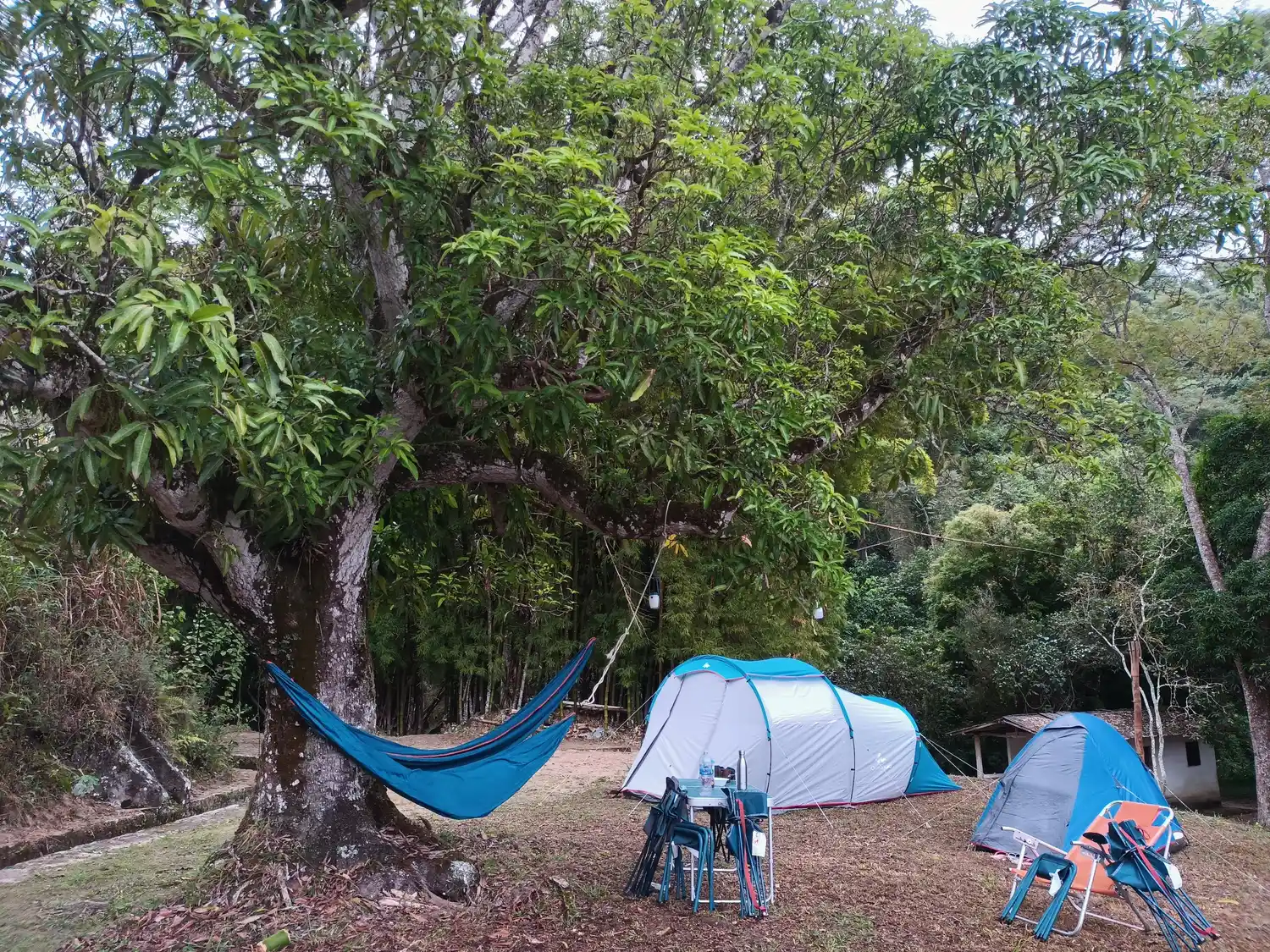 Dicas para escolher a barraca de camping ideal para VOCÊ!