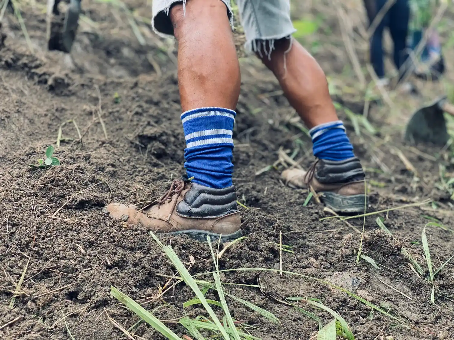 Passo a passo para Limpar suas botas de trilha: