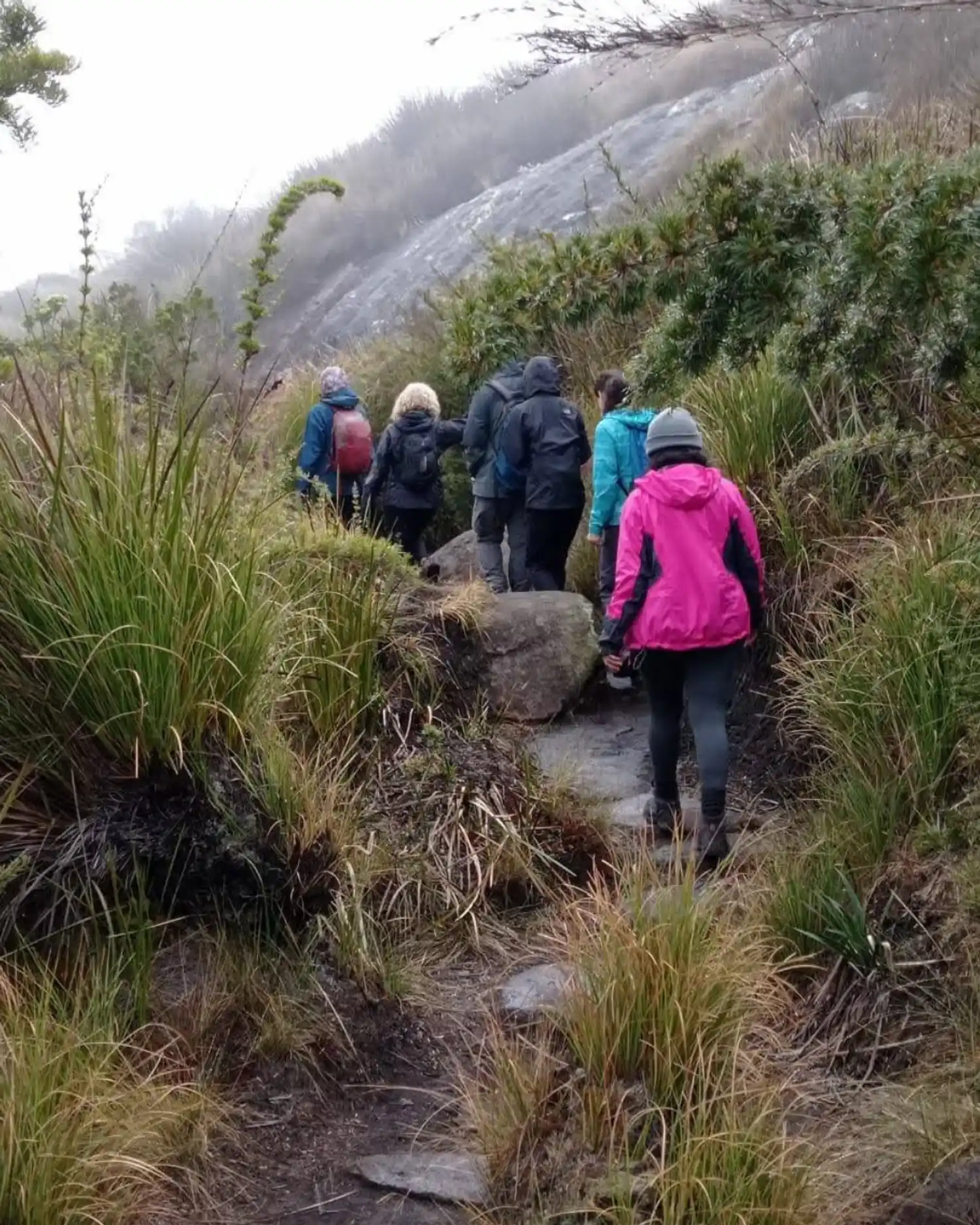 Quem planeja fazer uma trilha no frio sabe que as áreas naturais no inverno não perdoam! Na temporada de montanha, o clima muda rápido e o vento exige estratégia. É aí que surge a principal dúvida de todo aventureiro: afinal, como se proteger do frio na trilha sem carregar peso excessivo na mochila?