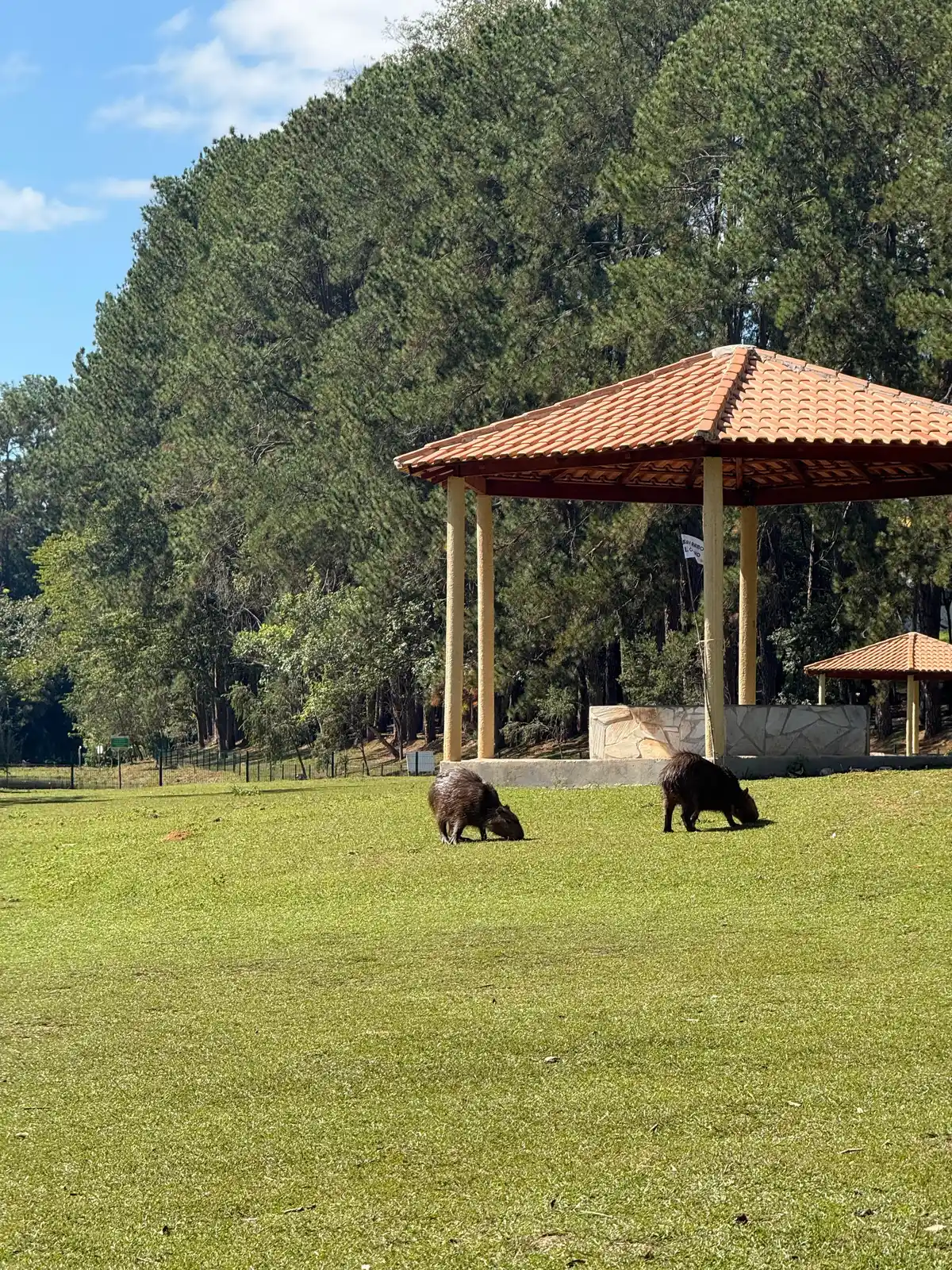Pouso Alegre, Minas Gerais