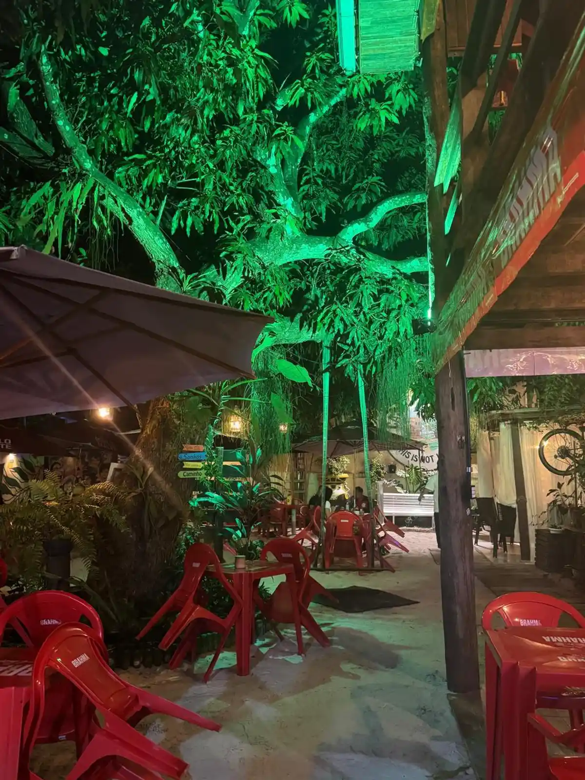 CASA DA ÁRVORE GASTRO BAR