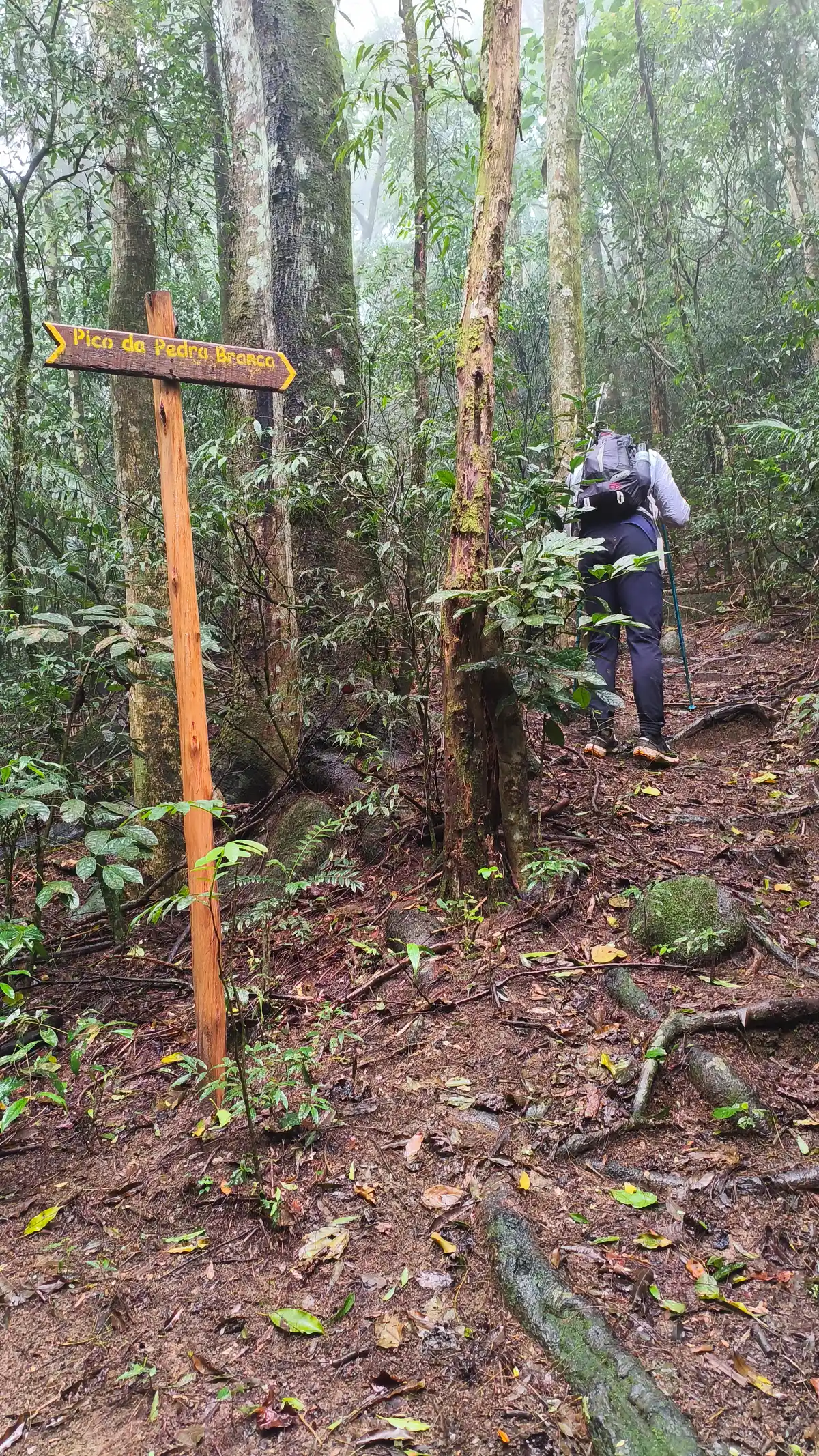 Rio da Prata x Pico da Pedra Branca