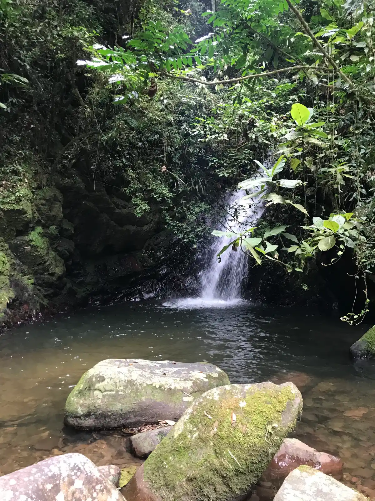 Trilhas Spitzkopf - Blumenau (SC)