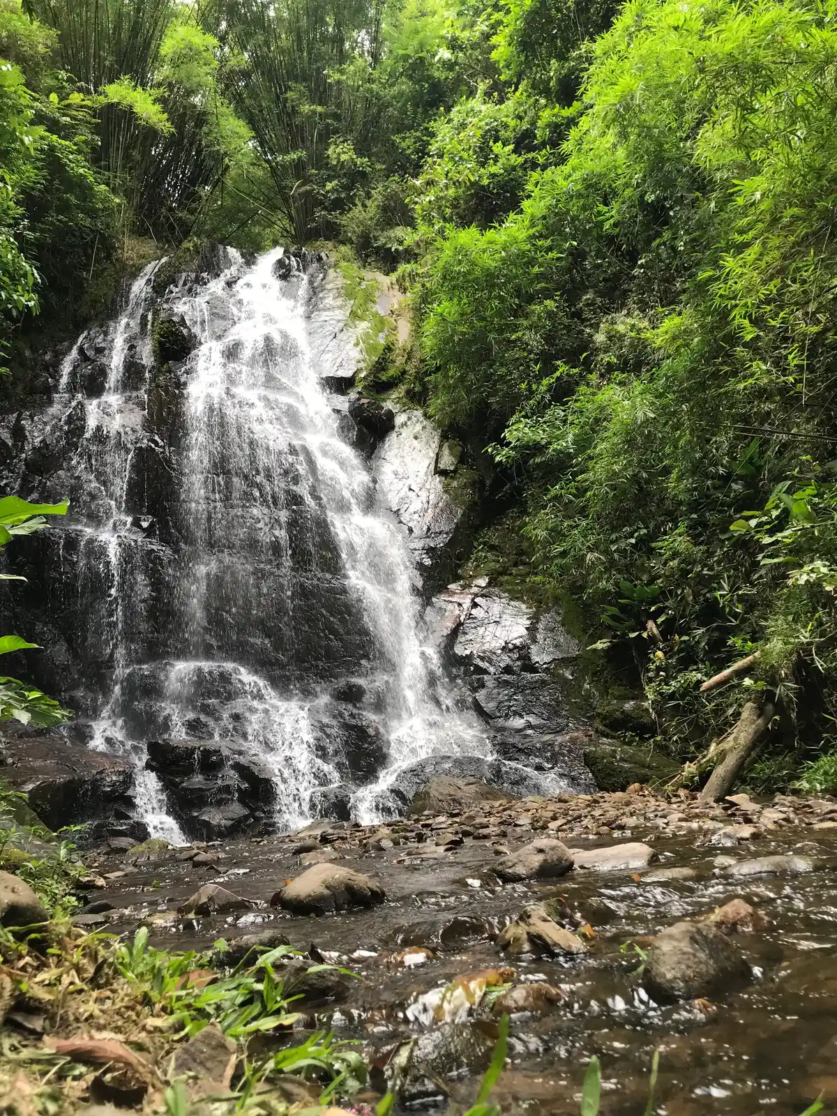 Trilhas Spitzkopf - Blumenau (SC)