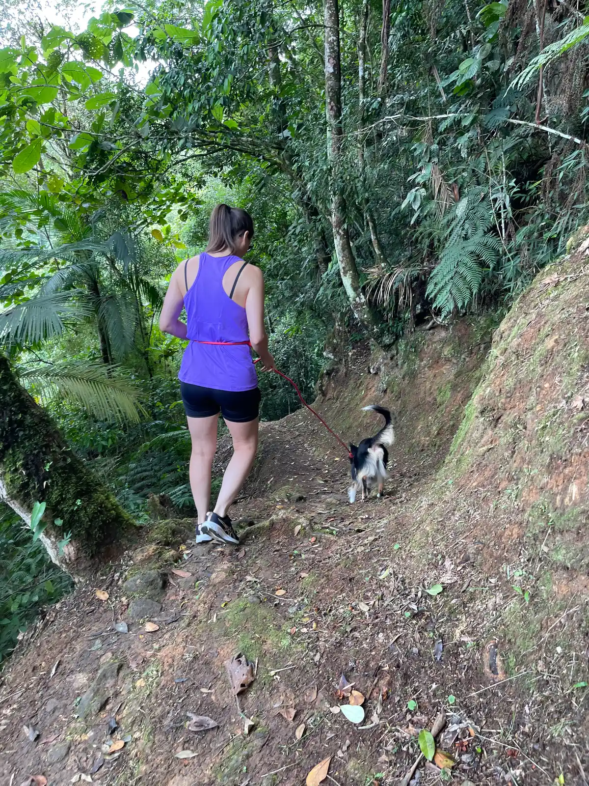 Gruta Santo Antônio + Cachoeira 