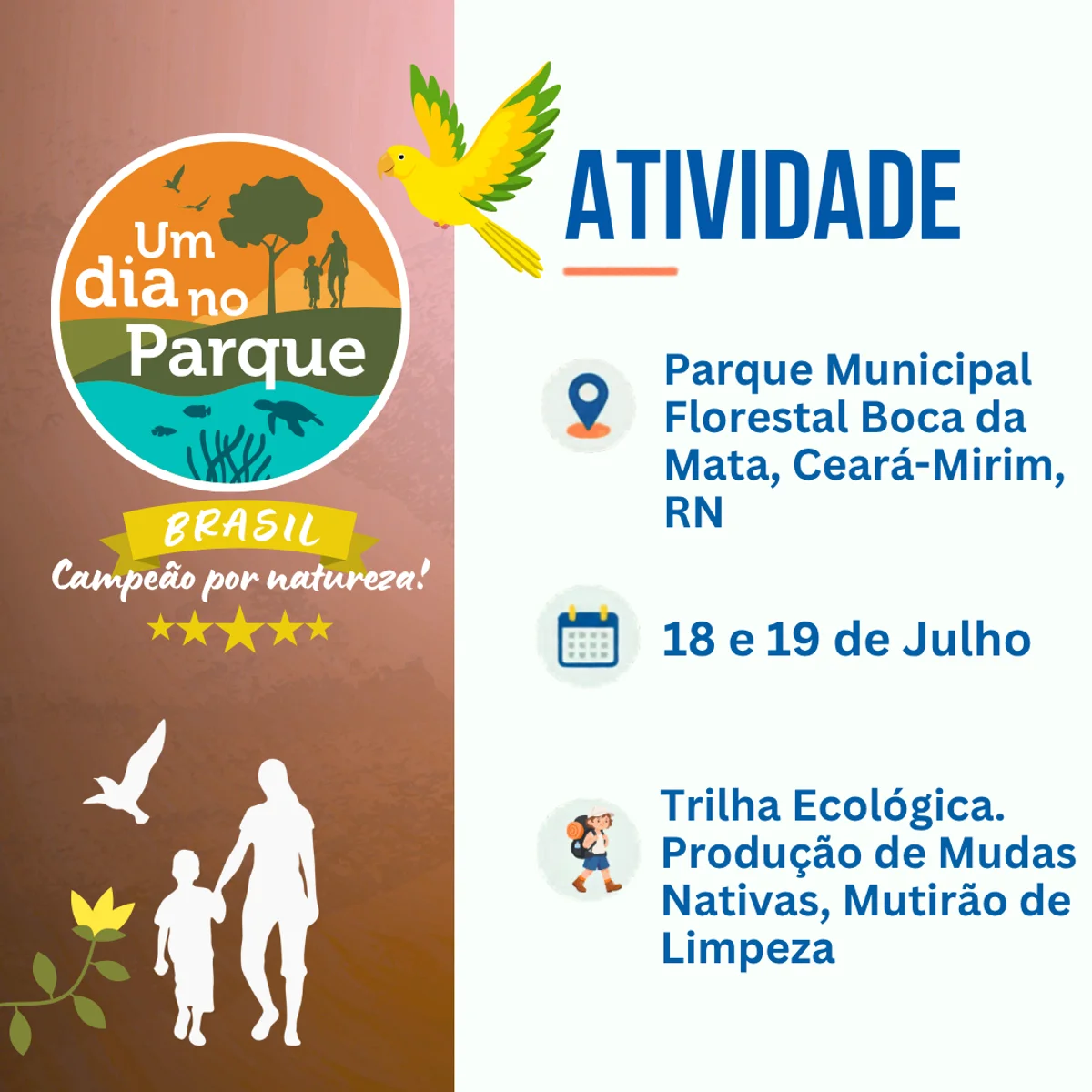Trilha, Produção de Mudas Nativas, Mutirão de Limpeza - Parque Municipal Florestal Boca da Mata