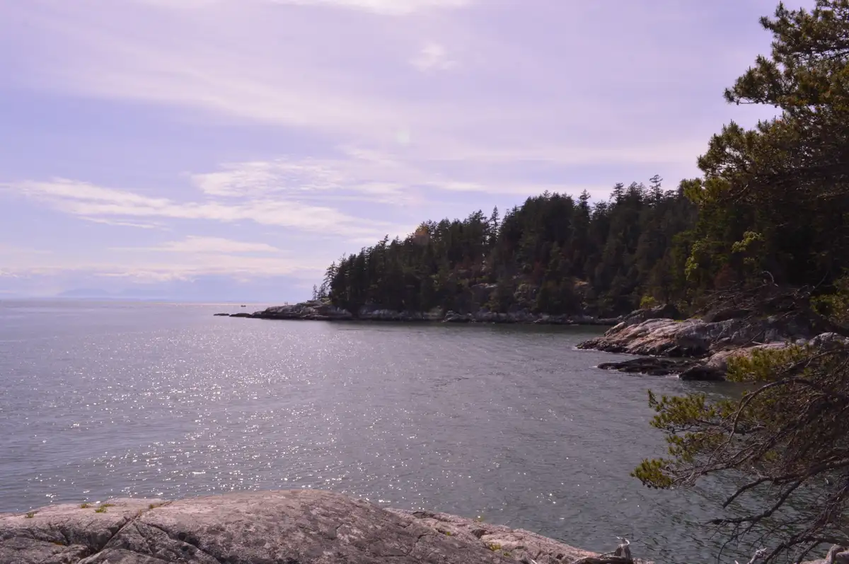 Lighthouse Park Loop