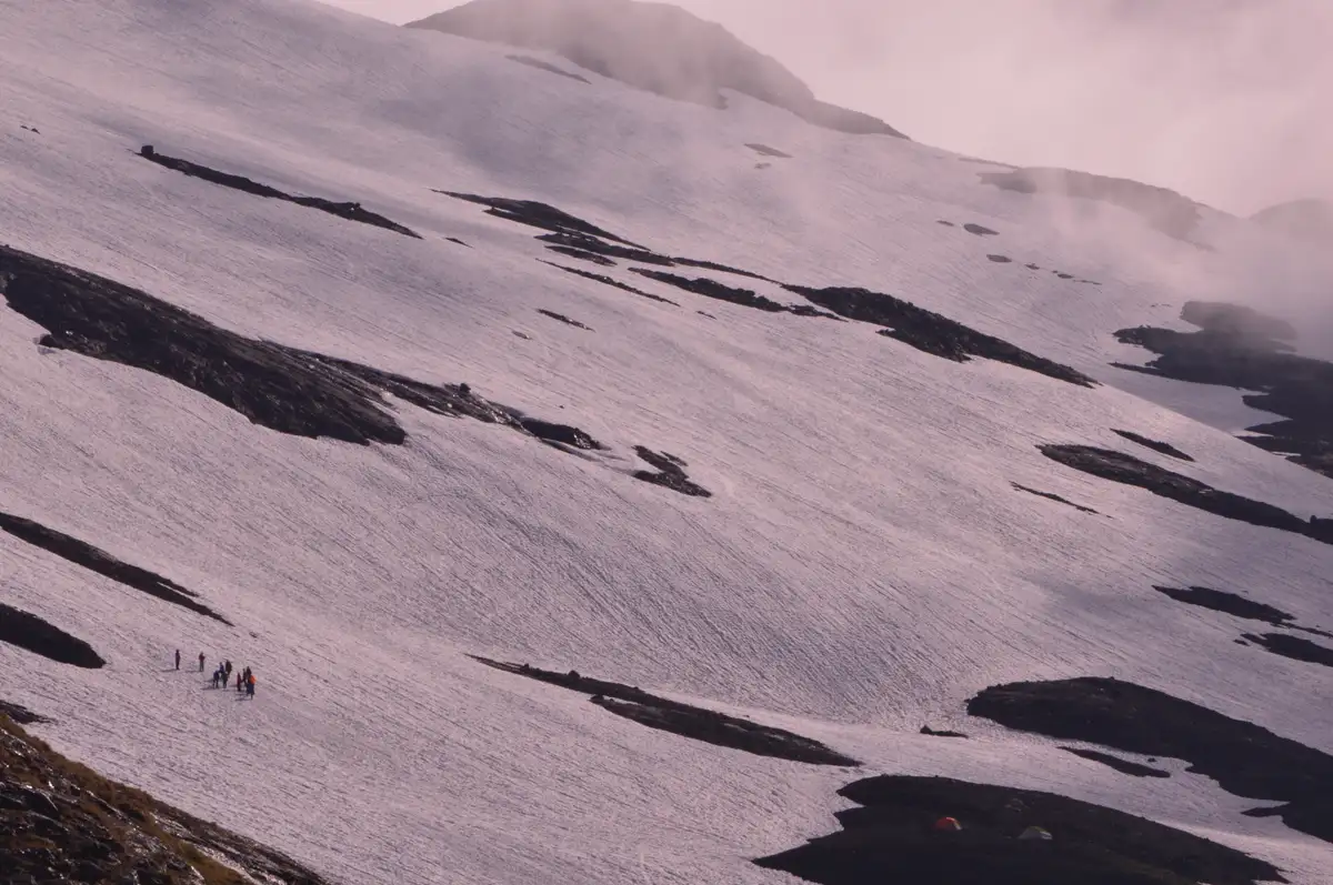 Heliotrope Ridge