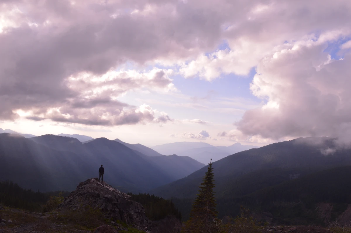 Heliotrope Ridge