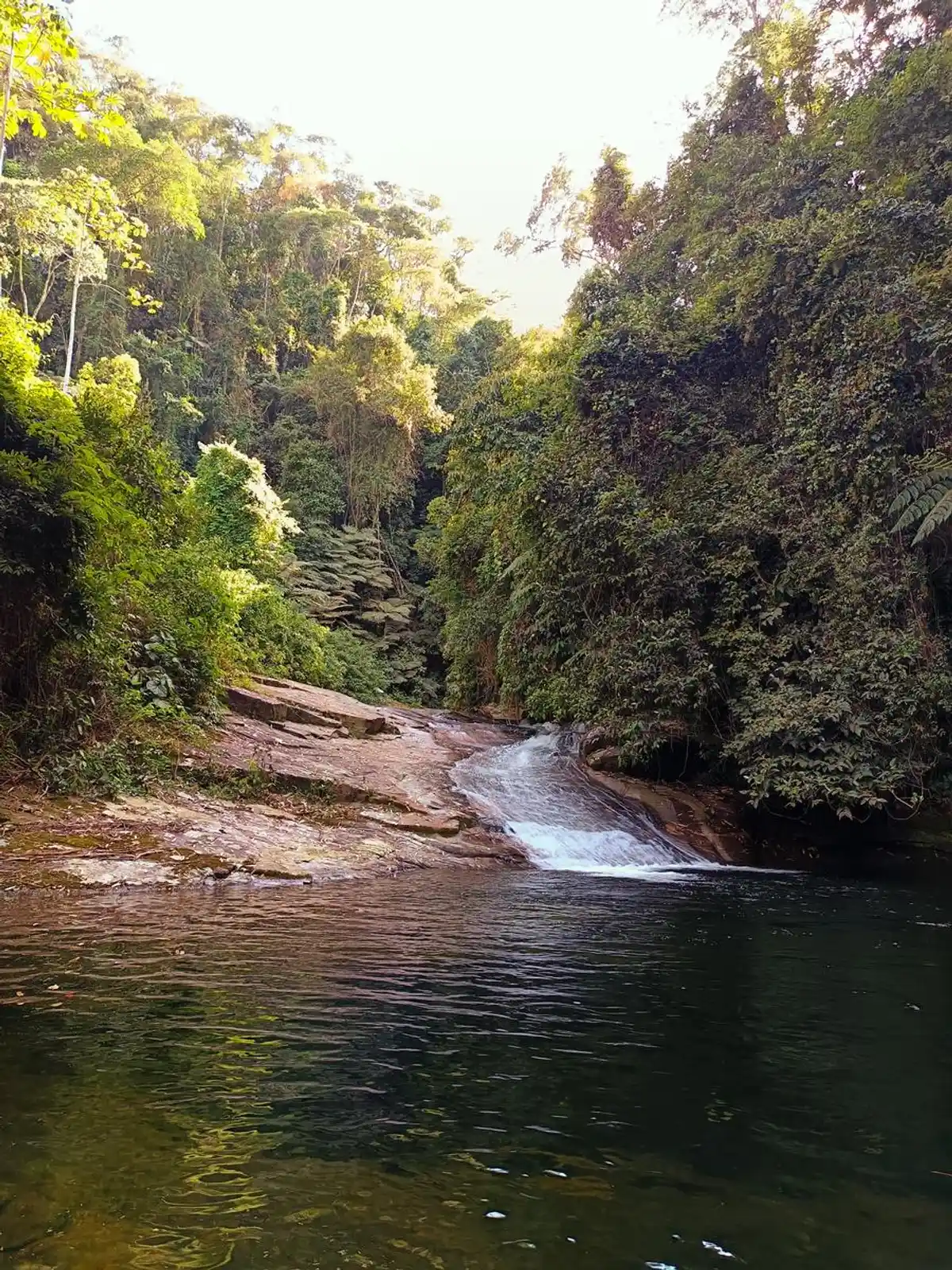 Trilha da Cachoeira do Escorrega (Cachoeira da Captação)