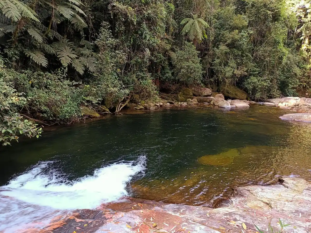 Trilha da Cachoeira do Escorrega (Cachoeira da Captação)