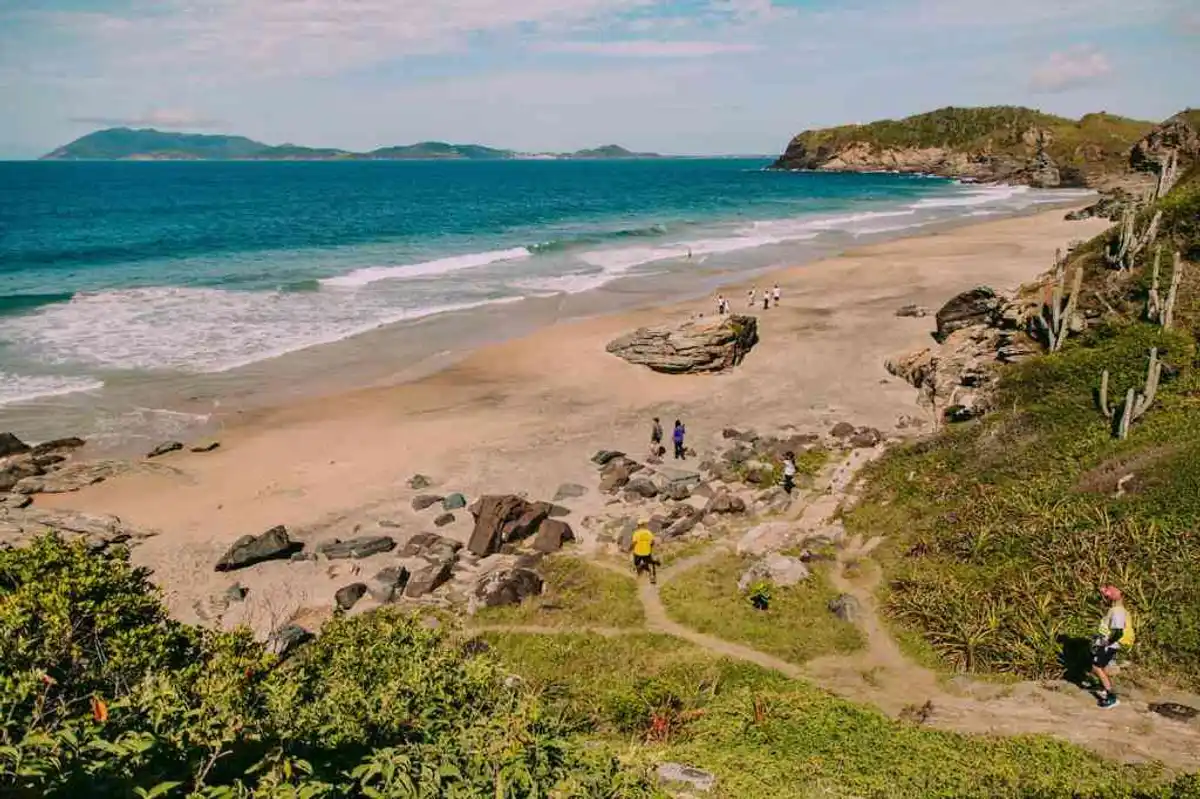Trilha da Praia Brava