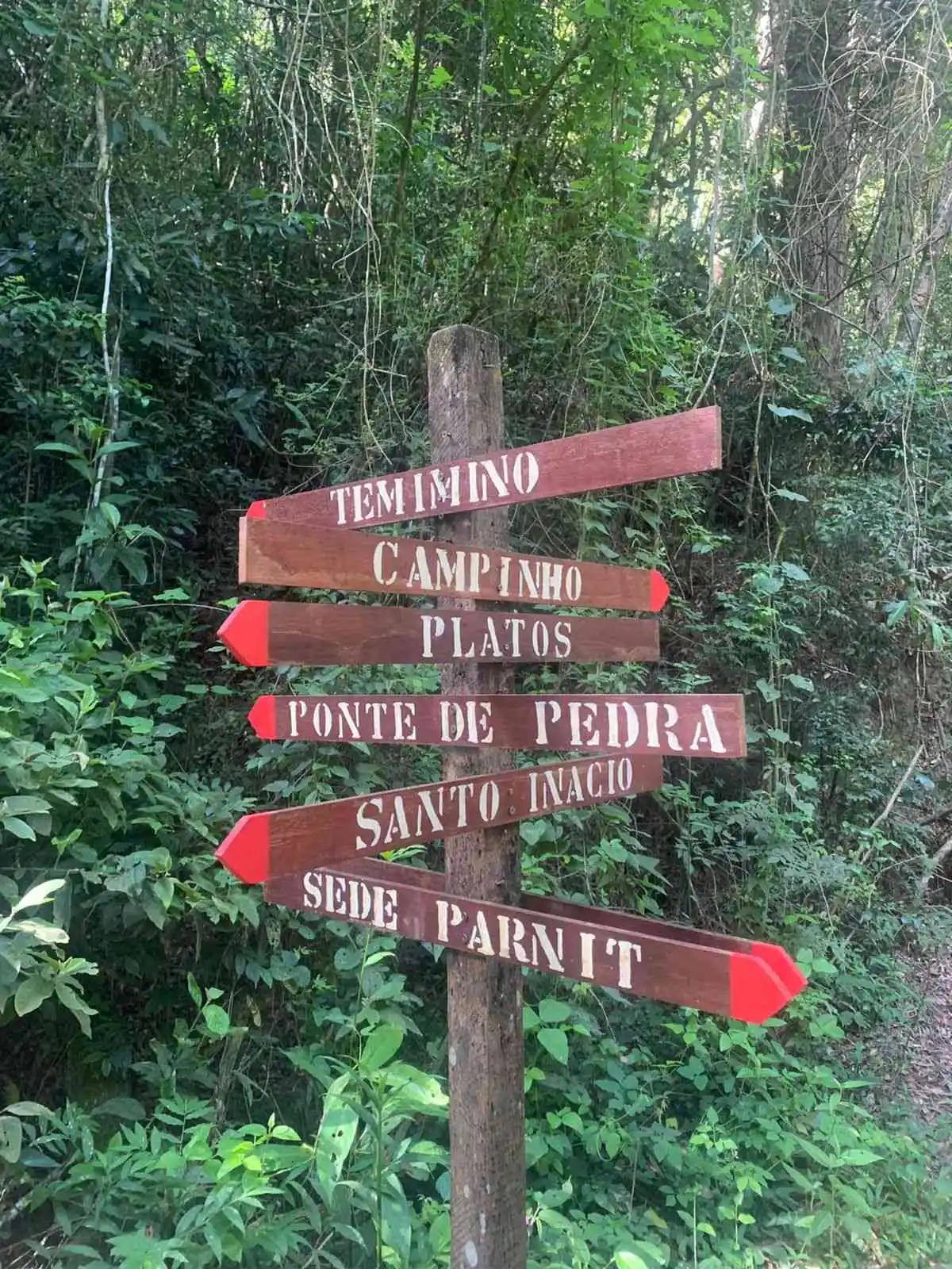 Circuito Temiminó