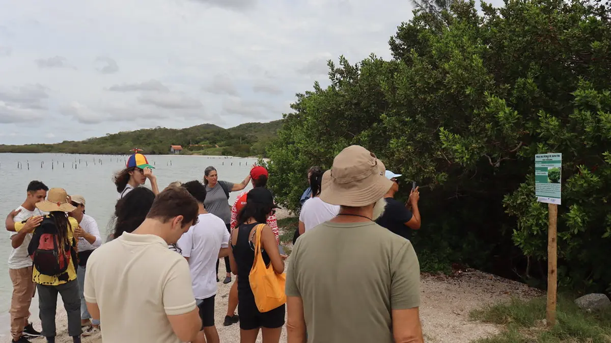 Trilha Translagunar | São Pedro da Aldeia - Praia das Pedras de Sapiatiba