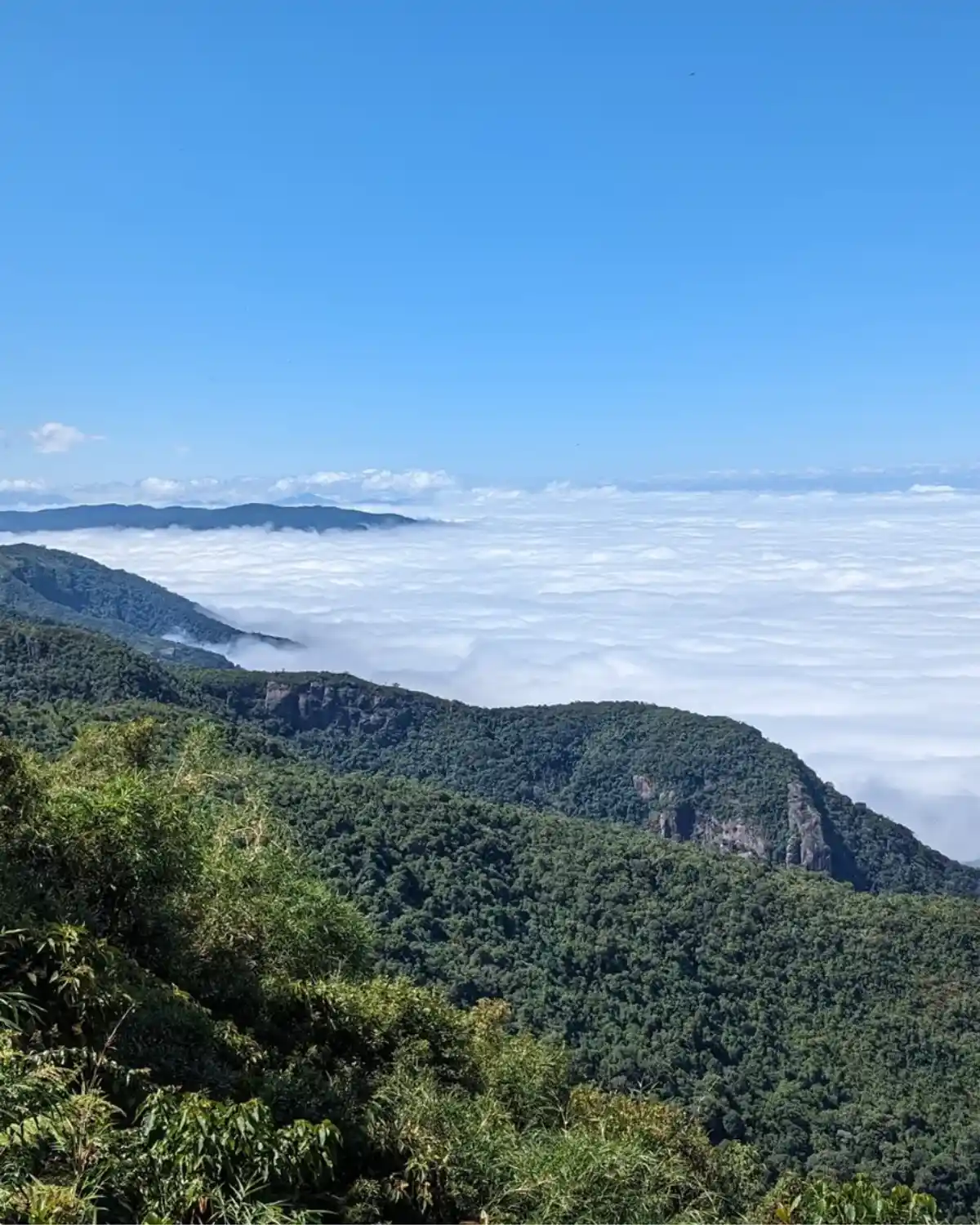 Trilha Pico da Onça