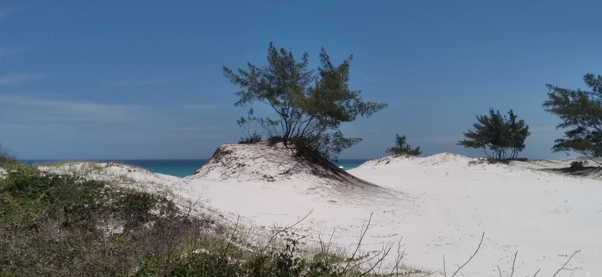 Trecho 06 - Praia Grande: Monte Alto x Praia Grande (Caminhada | Rota Cabista)