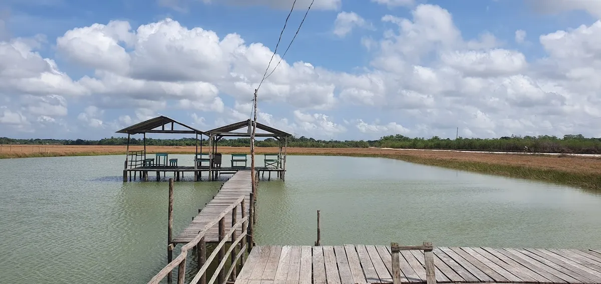 Travessia dos Campos (Trecho 5 | Trilha Amazônia Atlântica)
