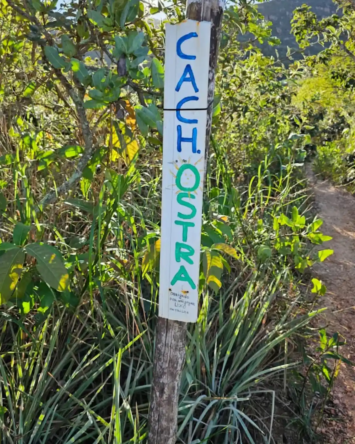 Trilha Cachoeira das Ostras