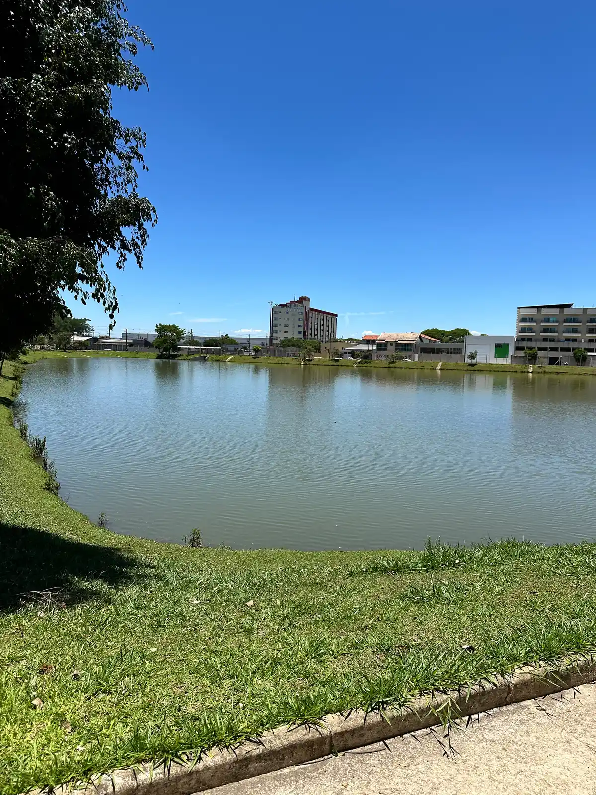 Circuito Fórum
