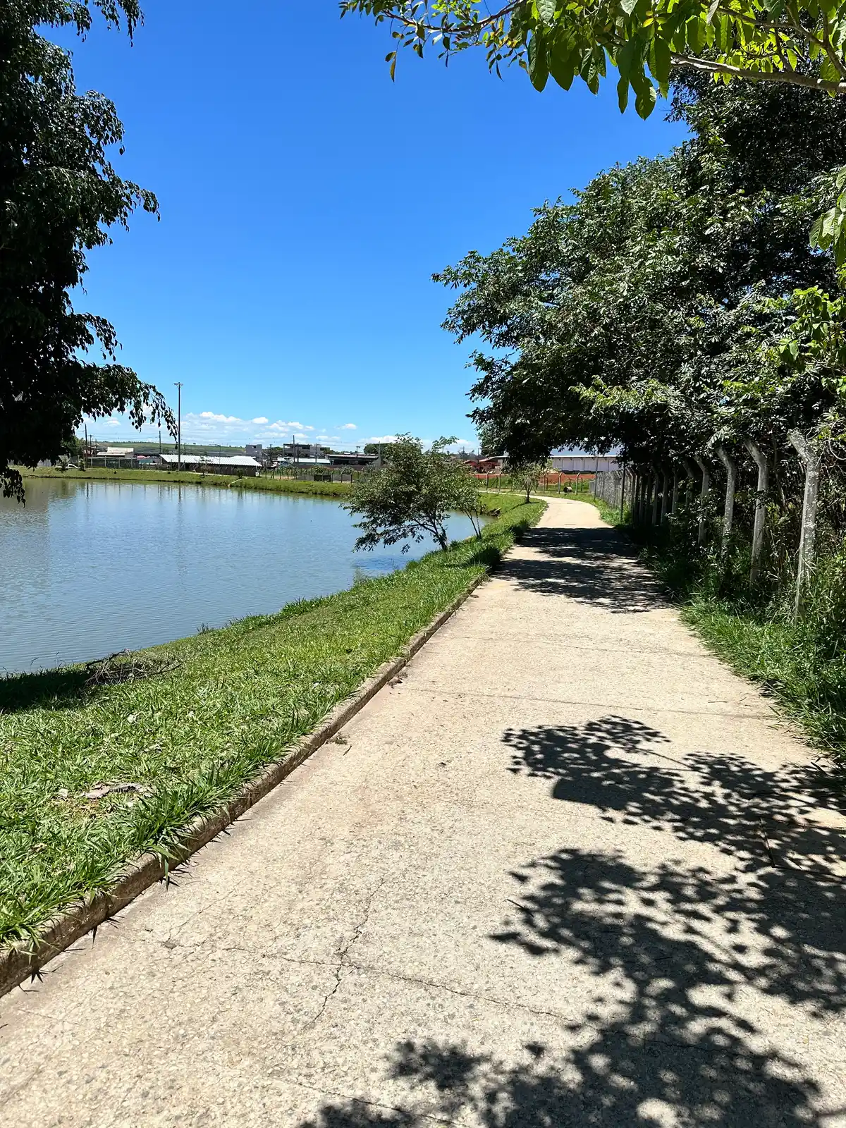Circuito Fórum