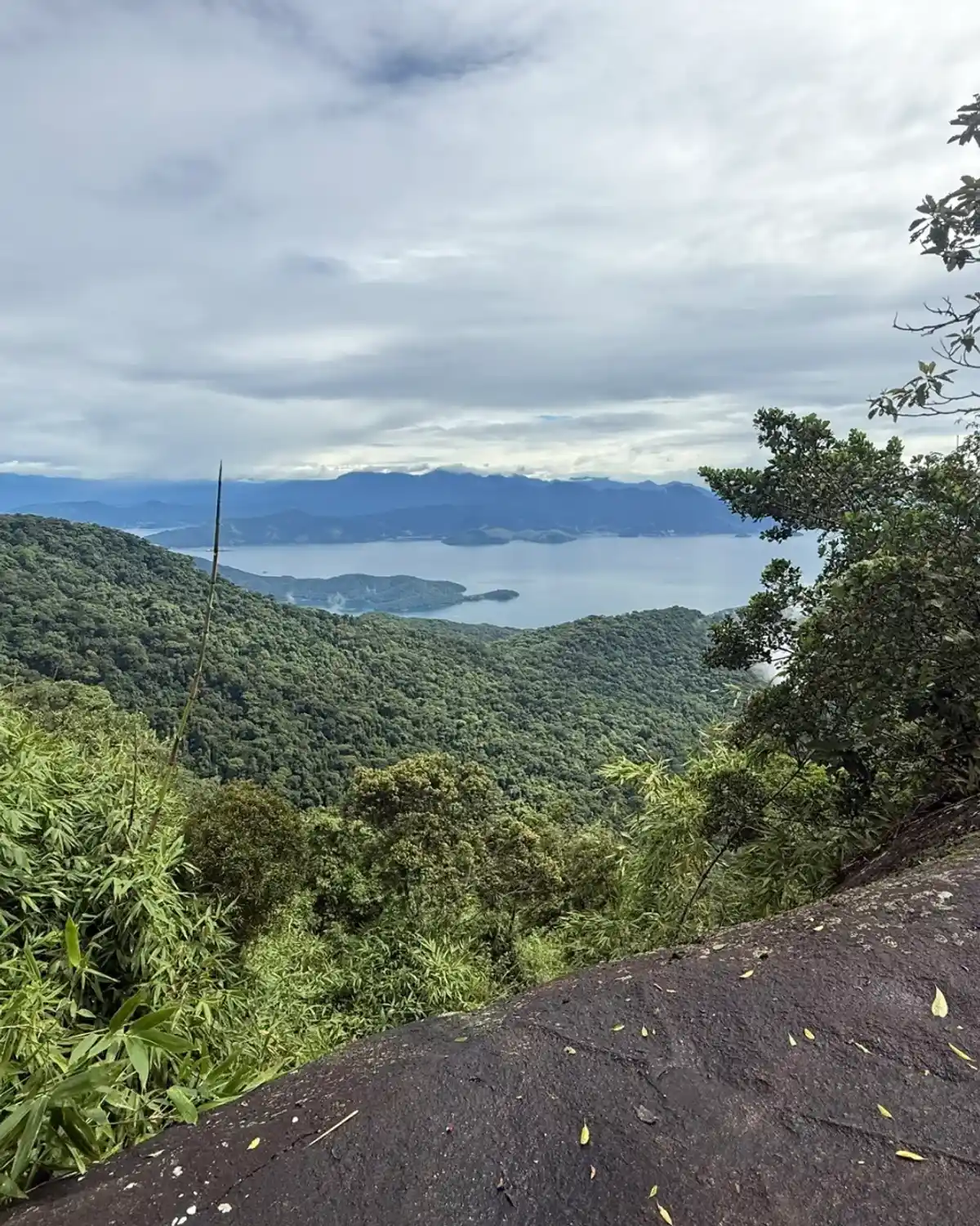 Trilha Pico do Papagaio